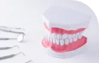 歯を失った時の選択肢のカテゴリ