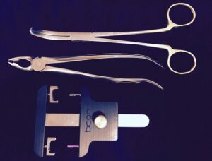 バイコンインプラント研修を終えて